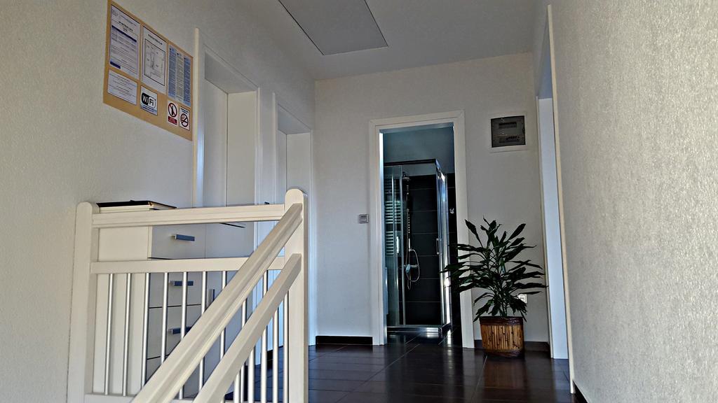 Apartment Lipa Irinovac Rum bild