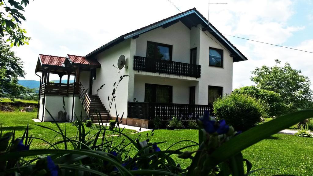 Apartment Lipa Irinovac Rum bild