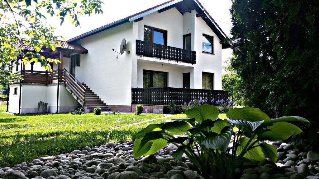Apartment Lipa Irinovac Rum bild